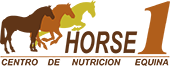 Horse1 - Tienda Online España